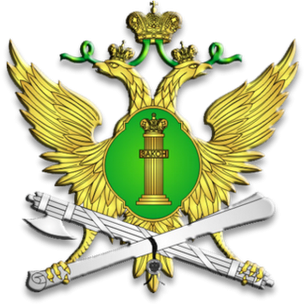 Федеральная служба судебных приставов (ФССП)