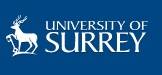 Университет Суррея