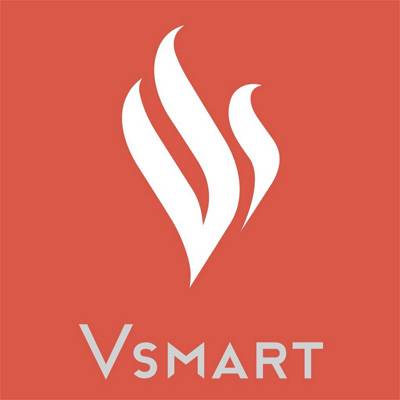 VinSmart