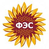 Федеральный Экспертный Совет (ФЭС)  по местному и общественному самоуправлению  и местным сообществам