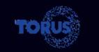 Торус