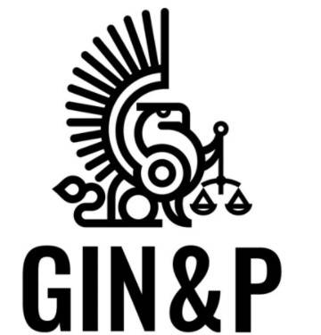 Гин и партнеры