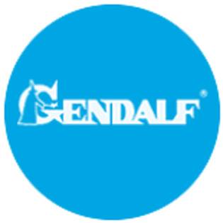ГЭНДАЛЬФ  (Gendalf)