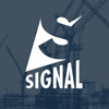 Сигнал Формат (Signal)