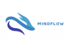 MindFlow