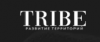 TRIBE Развитие территорий