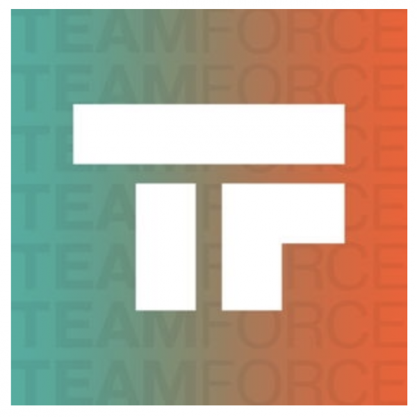 ТИМ ФОРС Альянс