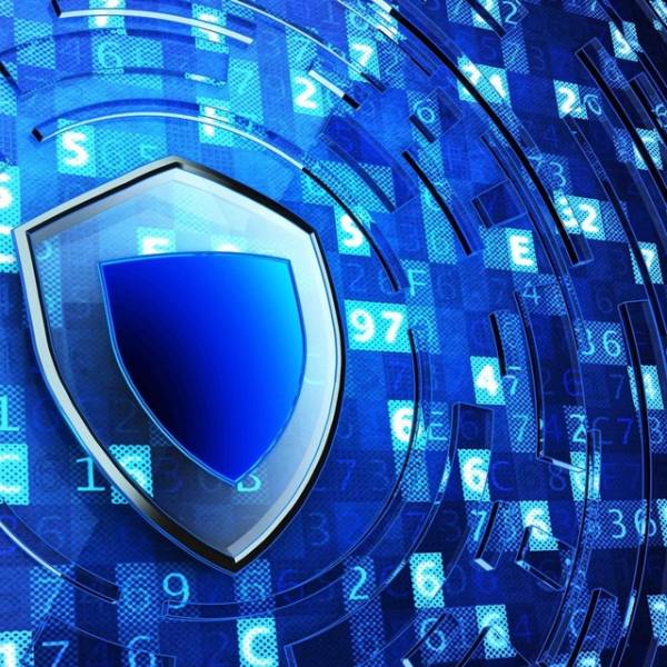 Информационные системы Юг